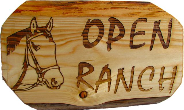 Open Ranch